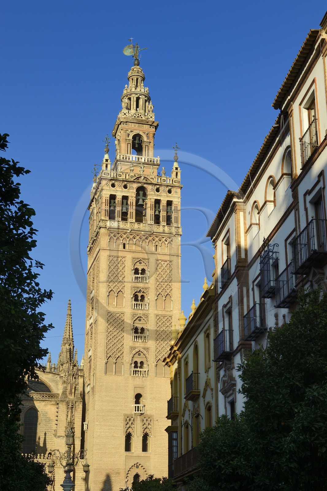 Espagne, Andalousie, Séville, quartier de Santa Cruz, la Giralda, ancien minaret almohade de la Grande Mosquée reconverti en clocher de la cathédrale, classé Patrimoine Mondial de l'UNESCO