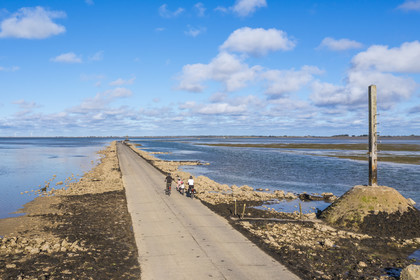 France, Vendée (85), île de Noirmoutier, Barbatre, cyclistes sur le passage du Gois à marée montante, chaussée submersible qui relie l'île au continent à marrée basse, un des refuges sur la droite (vue aérienne)