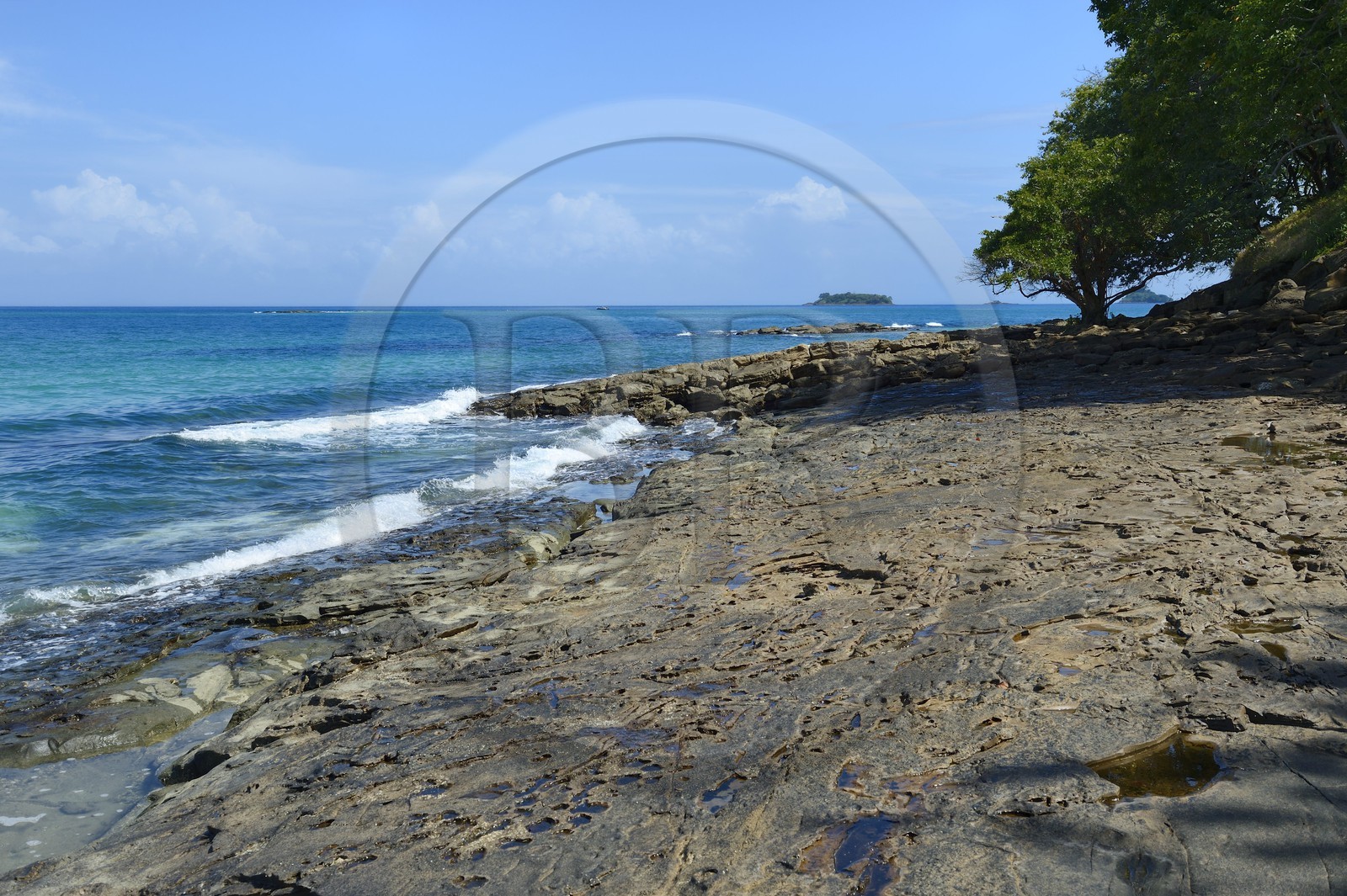 Panama, Pearl Islands, Isla Viveros