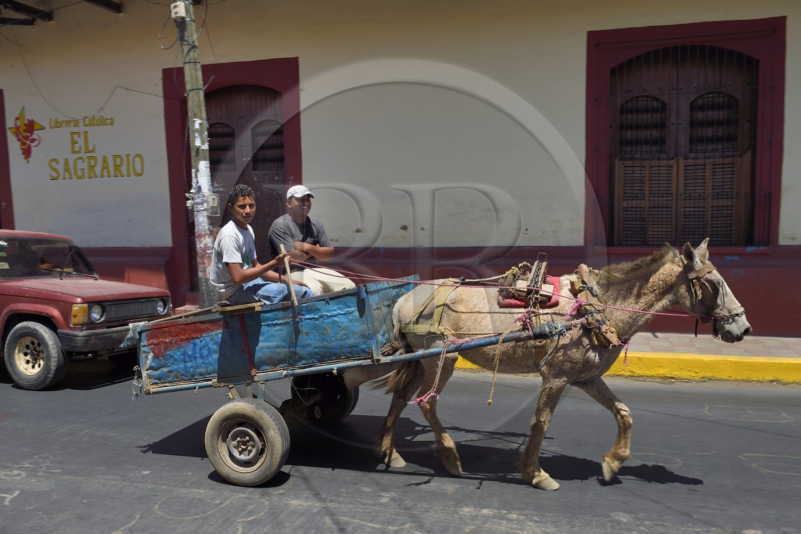Nicaragua, Leon, charrette tirée par un cheval dans la rue Ruben Dario dans le centre historique, charette à cheval