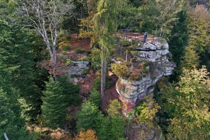 France, Bas-Rhin (67), Parc Naturel r