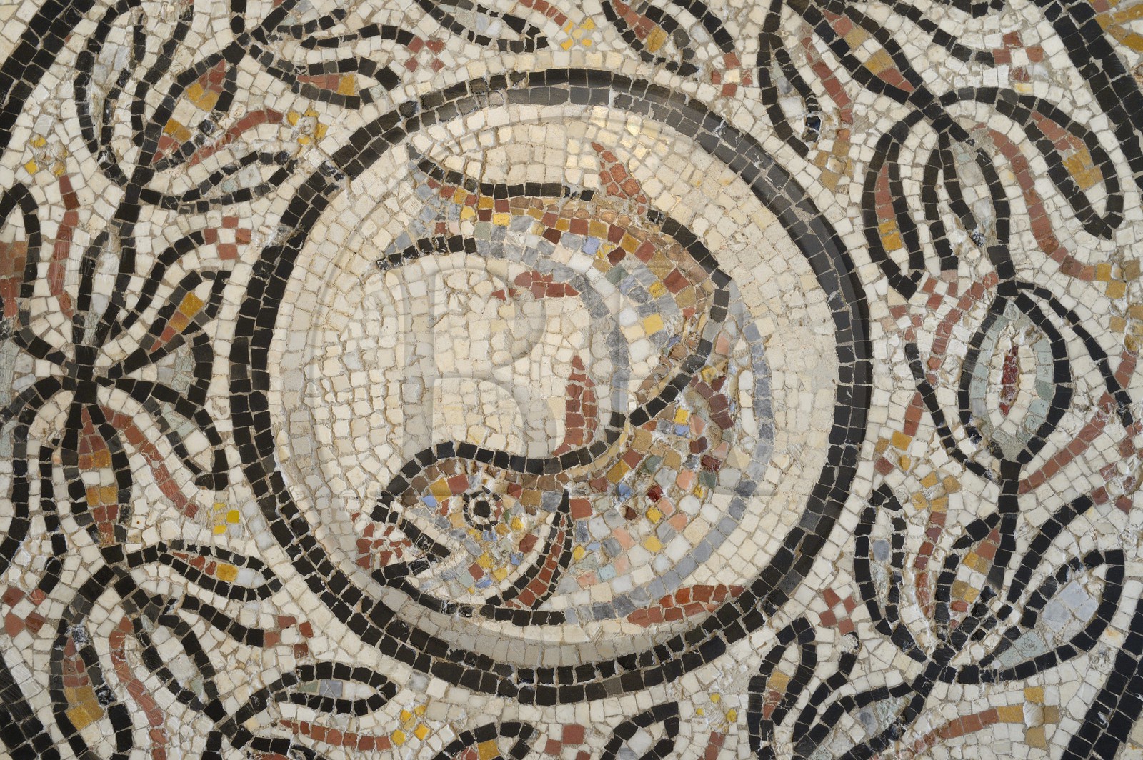 France, Rhône (69), Lyon, site historique classé Patrimoine Mondial de l'UNESCO, colline de Fourvière, musée gallo-romain de Fourvière, la mosaïque de Choulans