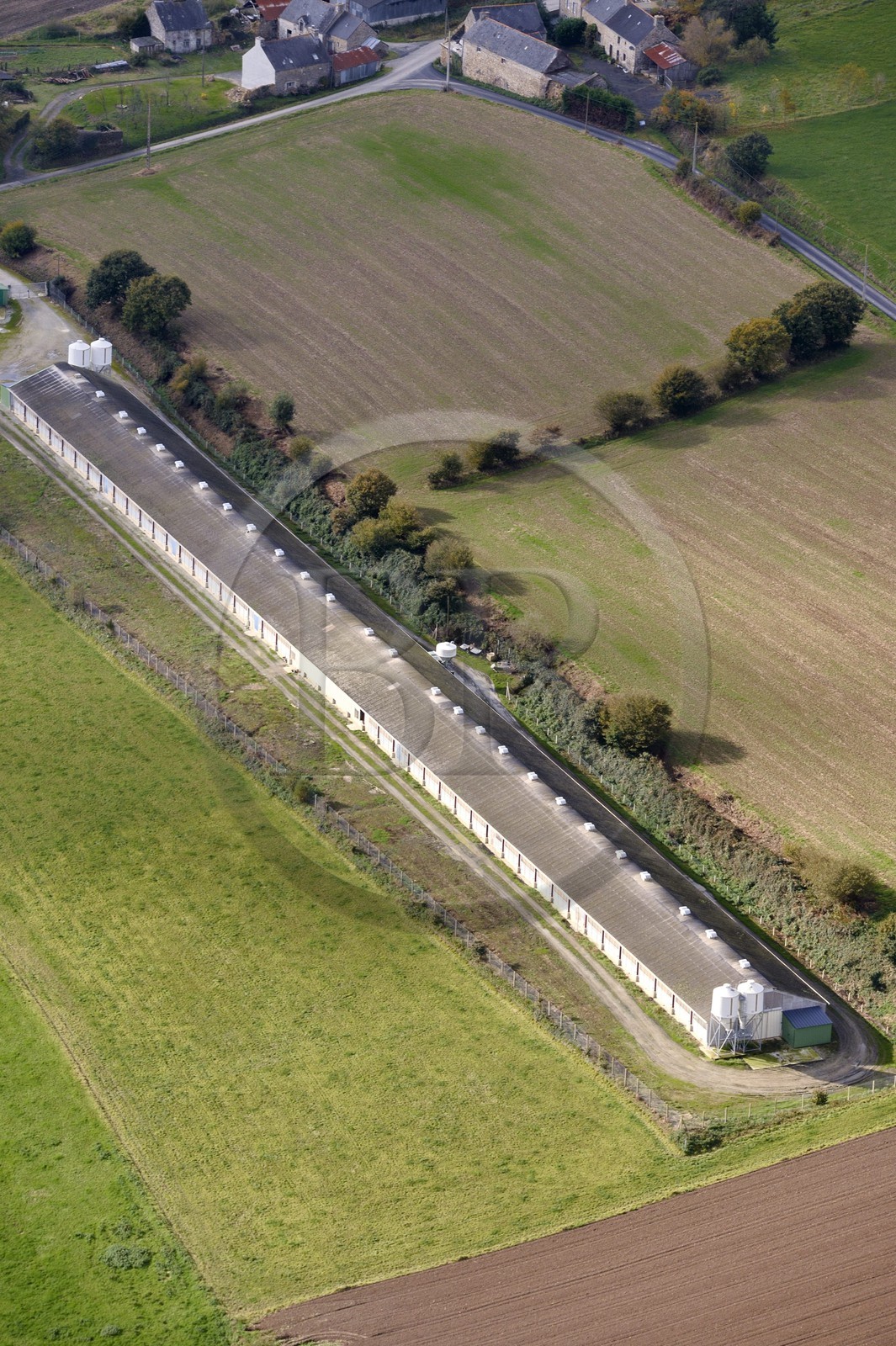 France, Côtes-d'Armor (22), L'Hermitage-Lorge, élevage de volailles (vue aérienne)