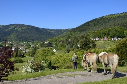 France, Bas Rhin, Wangenbourg-Engenthal, the village in the Vosges mountains