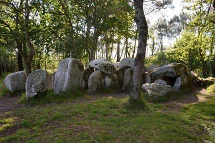 France, Morbihan, Erdeven, Mane-Croch Dolmen