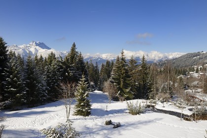 Suisse, Canton de Vaud, Villars sur Ollon