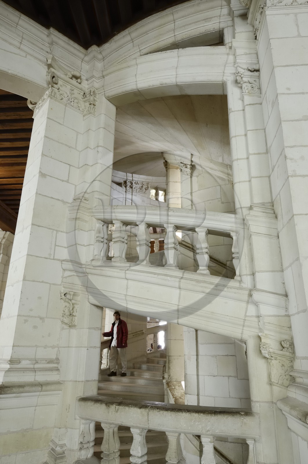 France, Loir et Cher (41), Vallée de la Loire classée Patrimoine Mondial de l' UNESCO, château de Chambord, l'escalier à double révolution attribué à Léonard de Vinci