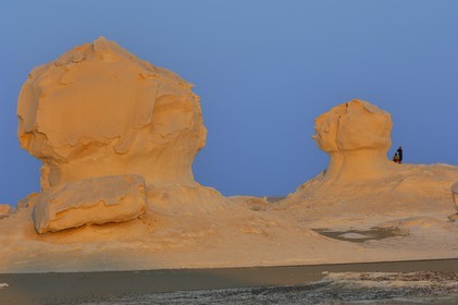 Egypte, désert libyque, le Désert Blanc au nord de Farafra