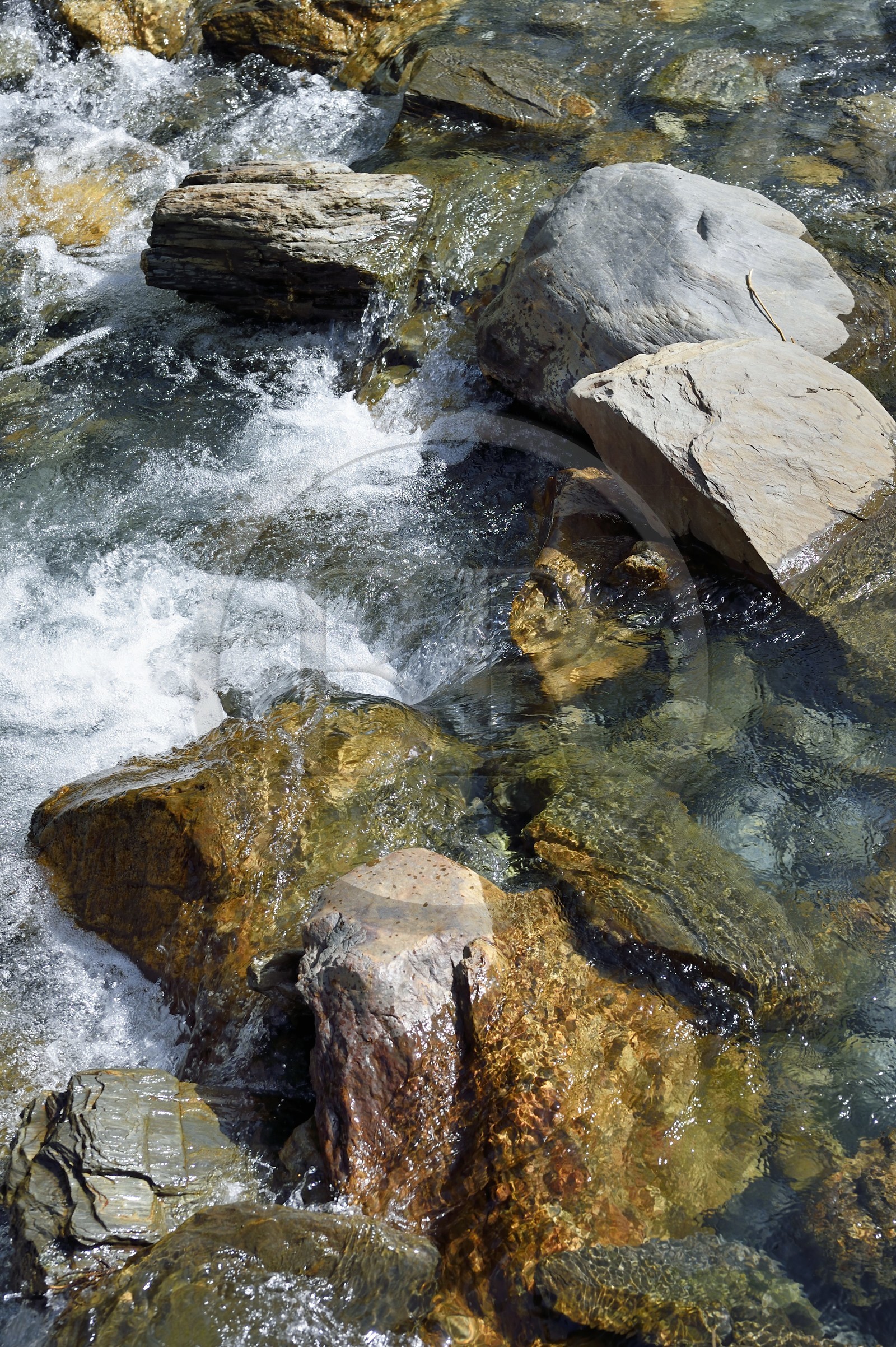 France, Hautes Pyrenees, Saint Lary Soulan, Rioumajou valley, the river Neste de Rioumajou