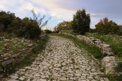 France, Herault, near Lunel, Oppidum of Ambrussum on the Via Domitia, paved streets worn out by the passage of wagons