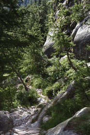 France, Alpes-Maritimes (06), parc national du Mercantour, vallon de la Minière en contrebas de la Vallée des Merveilles, sentier sur les pentes du Mont Bégo