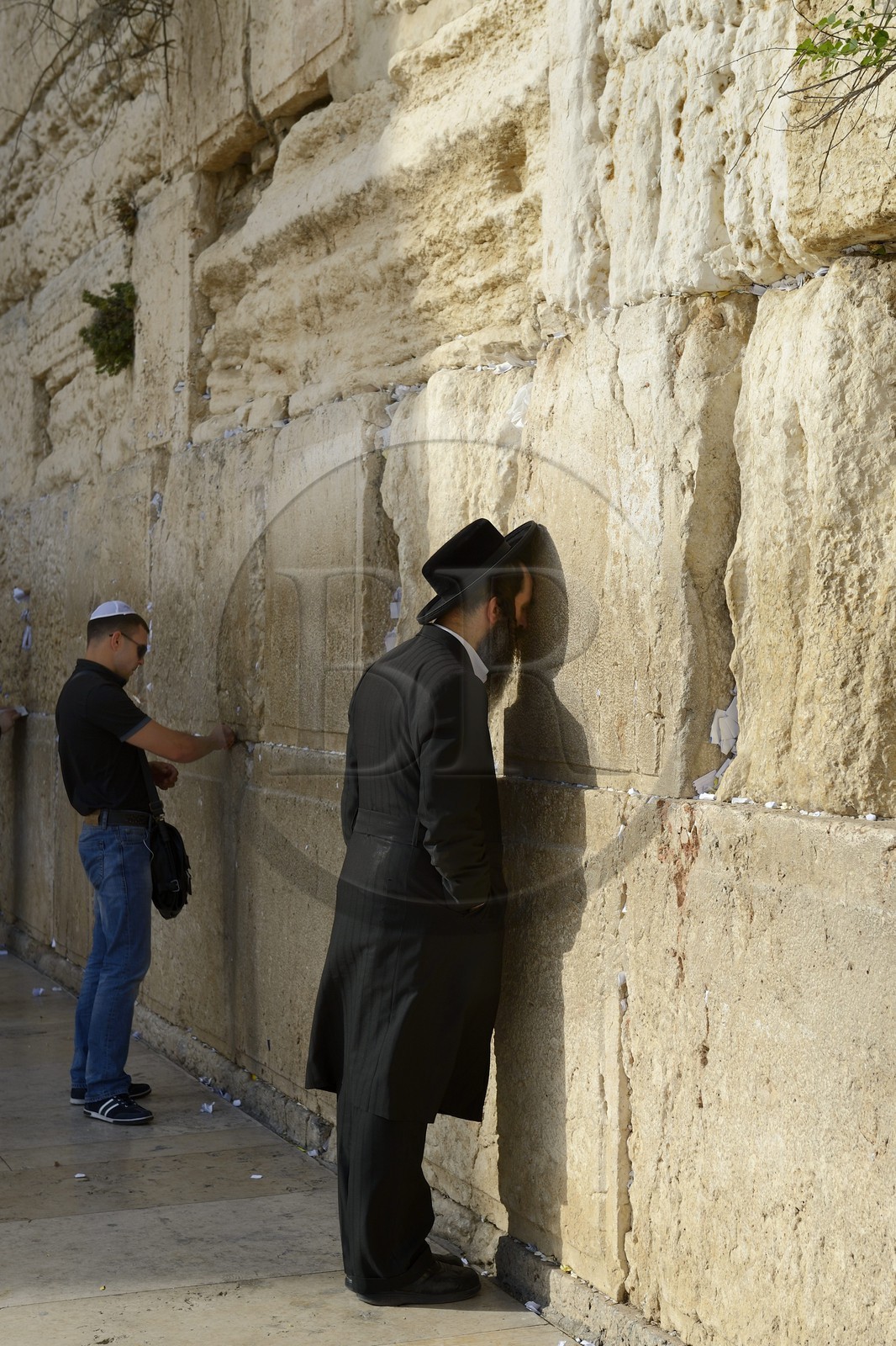 Israel, Jérusalem, ville sainte, vieille-ville classée Patrimoine Mondial de l'UNESCO, Mur des Lamentations ou mur occidental faisant partie des murs de soutènement de l'esplanade du Temple construite par Hérode Ier le Grand, Juif orthodoxe en prière