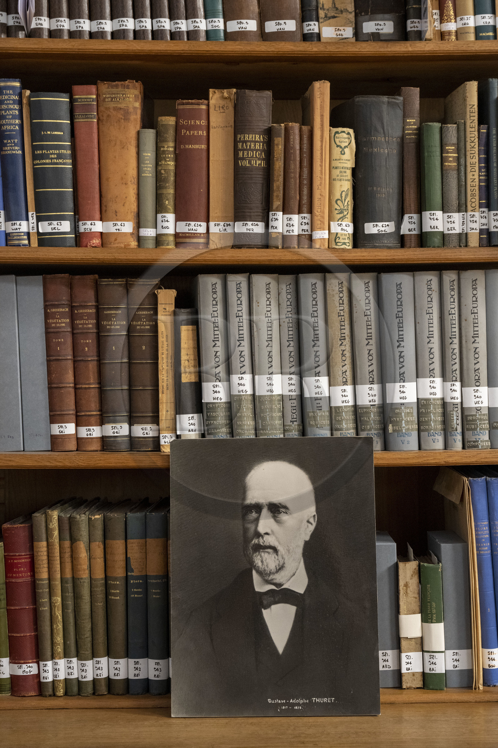 France, Alpes-Maritimes (06), Antibes, Le Jardin Botanique de la Villa Thuret (rattachée à l'INRAE), labellisé Jardin Remarquable et Arbre Remarquable, la bibliothèque, portrait du botaniste et algologue Gustave Thuret