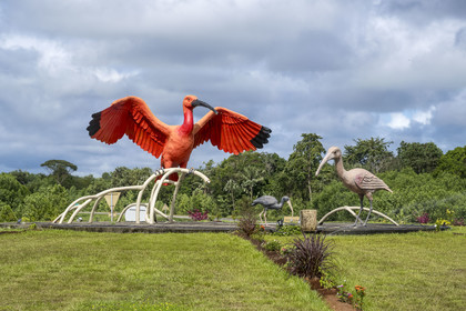 France, Guyane, Ibis rouge est un des grands emblèmes de la Guyane, ici au centre d'un rond-point à Sinnamary sur la route nationale 1 (N1) reliant Cayenne à Saint-Laurent-du-Maroni