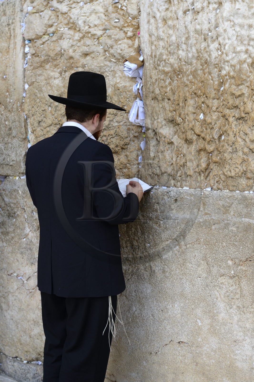 Israel, Jérusalem, ville sainte, vieille-ville classée Patrimoine Mondial de l'UNESCO, Mur des Lamentations ou mur occidental faisant partie des murs de soutènement de l'esplanade du Temple construite par Hérode Ier le Grand, Juif orthodoxe en prière