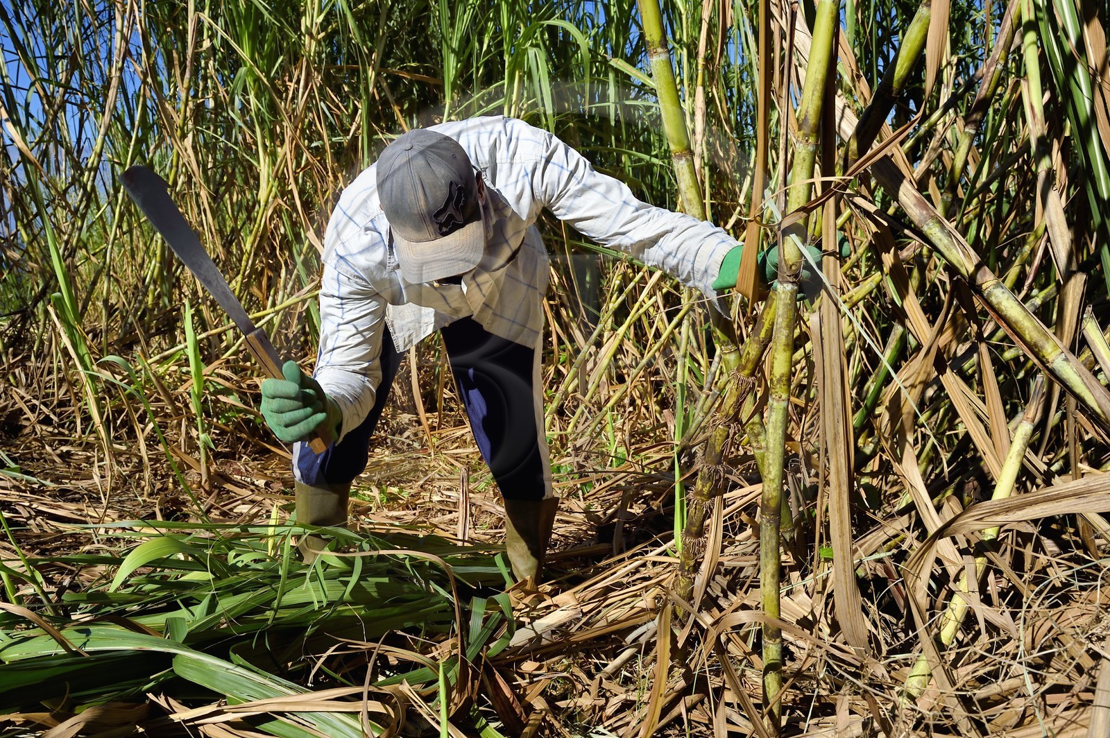France, Reunion island (French overseas department), Petite-Ile,