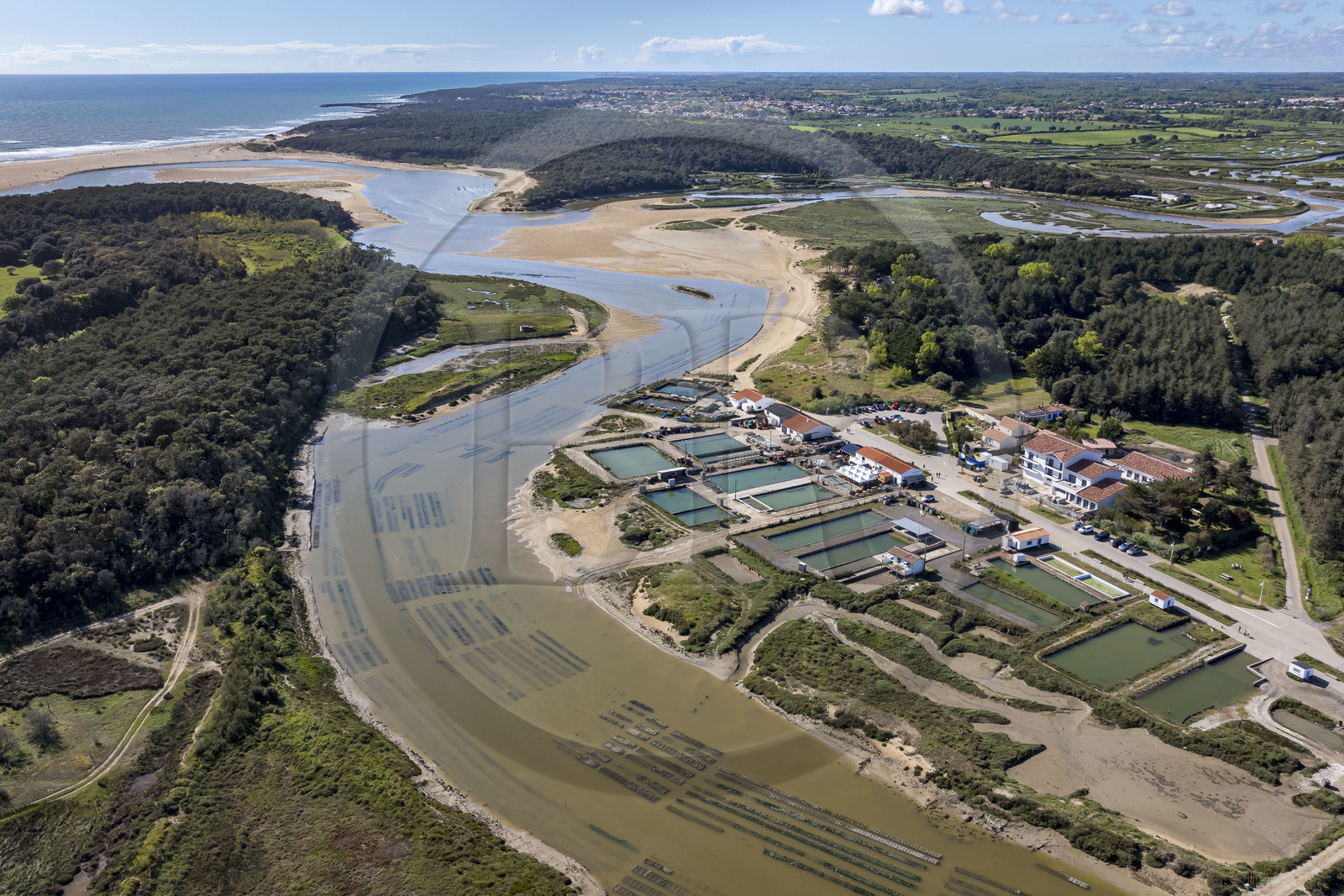 France, Vendée (85), Talmont-Saint-Hilaire, port du village d'ostréiculteurs de la Guittière dans l'estuaire du Payré, la plage du Veillon en arrière plan (vue aérienne)
