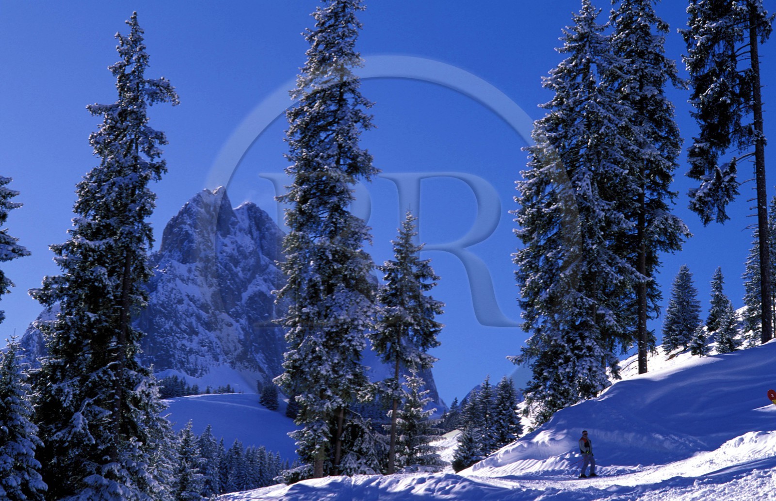 Suisse, région de Bern (Oberland Bernois), Saanenland, piste de ski sur les hauteurs de Gstaad