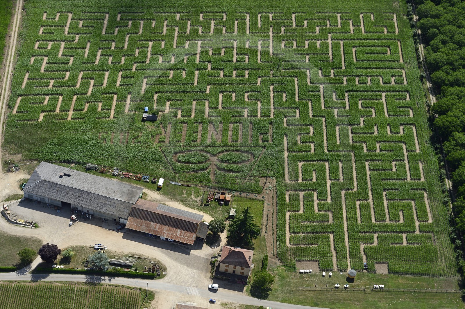 France, Dordogne (24), Périgord Noir, vallée de la Dordogne, Vitrac, cingle de Montfort, labyrinthe végétal en mais de l'Ermite (vue aérienne)
