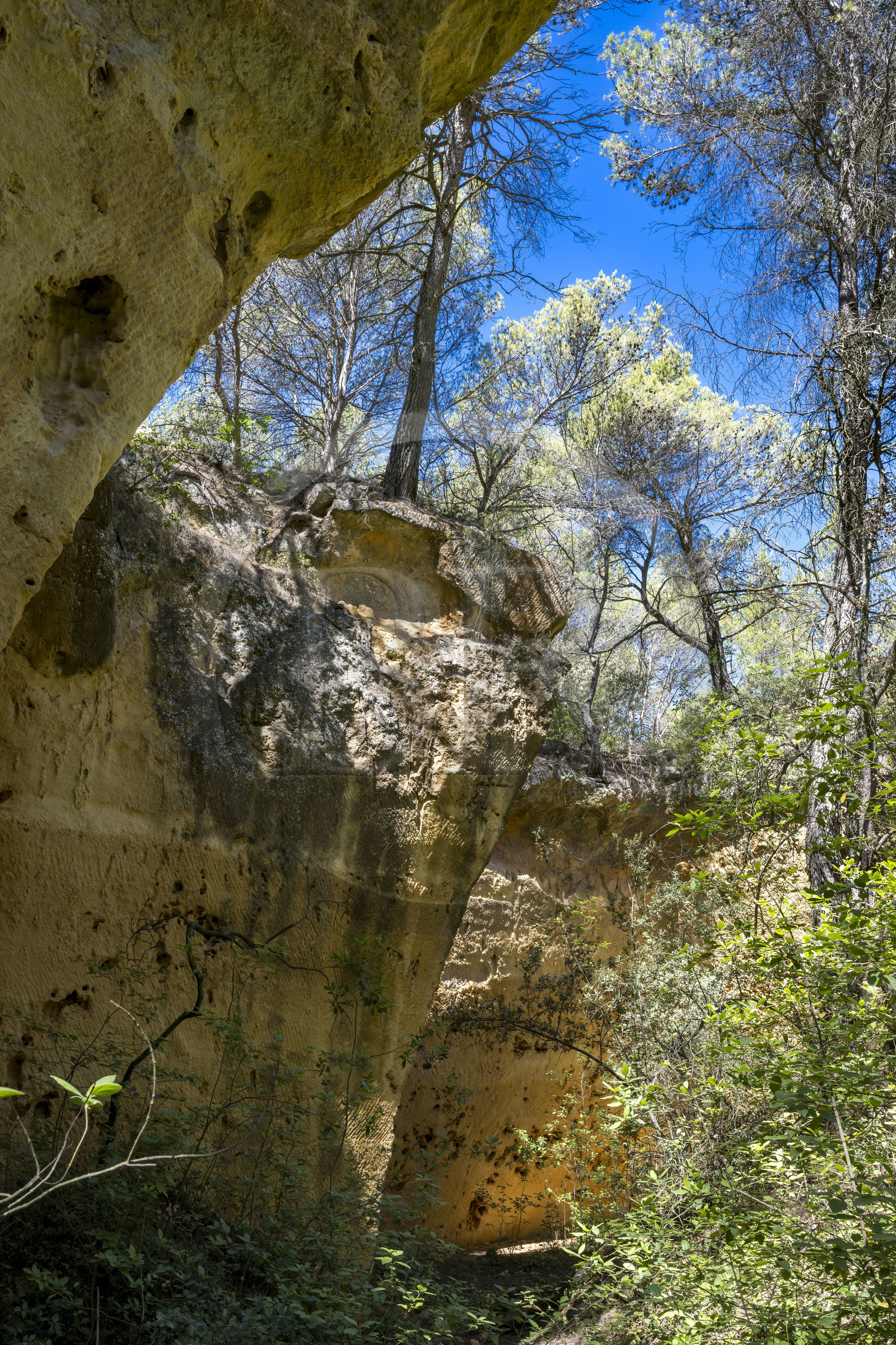 France, Bouches du Rhone, Aix en Provence, Bibemus plateau, the Bibemus quarries which inspired many of Cézanne's paintings