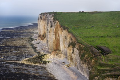 France, Seine-Maritime (76), Pays de Caux, Côte d'Albâtre, Bénouville entre Etretat et Yport, tracteur dans un champ surplombant la falaise, à marée basse