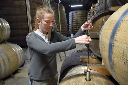 France, Charente (16), Sireuil, Distillerie des Moisans, dans les chais de vieillissement et d'assemblages, Laurette Didière fait une prise d'échantillon sur une cuvée 2018 avec une topette