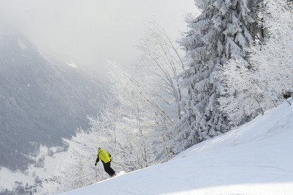 France, Haute-Savoie (74), Morzine