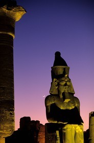 Egypte, Louxor, temple de Louxor, la statue colossale de Ramses II devant l'entrée du 2ème pylône