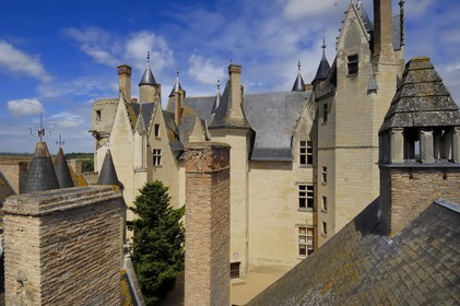 France, Maine et Loire (49), château de Montreuil-Bellay