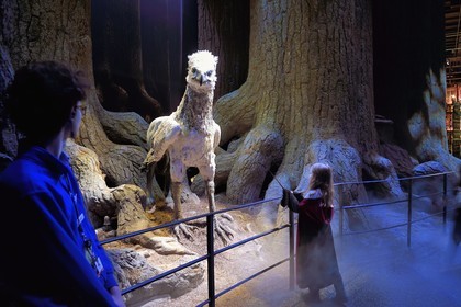 Royaume-Uni, Hertfordshire, Leavesden, Leavesden Film Studios, Harry Potter Studio Tour London, les coulisses du tournage des 8 films de Harry Potter, la mythique Forêt Interdite, Buck l’Hippogriffe