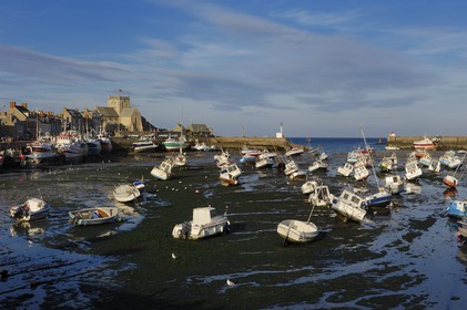 France, Manche (50), Val de Saire, port de Barfleur à marée basse, labellisé Les Plus Beaux Villages de France