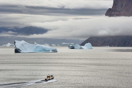 Groenland, cote ouest, baie de Baffin, bateau de pêche et icebergs dans le fjord Uummannaq