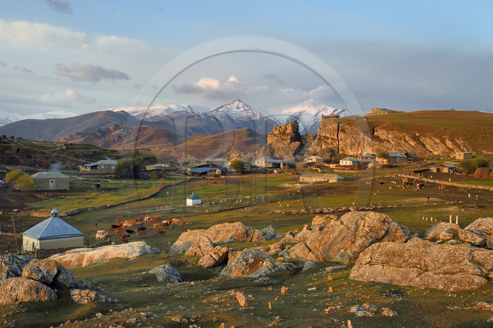Azerbaijan, Quba (Guba) region, Greater Caucasus mountain range, village of Giriz at dawn, departure of cows and sheep for the meadows
