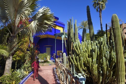 Morocco, High Atlas, Marrakech, Imperial city, Gueliz district, Majorelle Garden founded in 1931 by the French painter Jacques Majorelle in 1980 and bought by Yves Saint Laurent and Pierre Berge