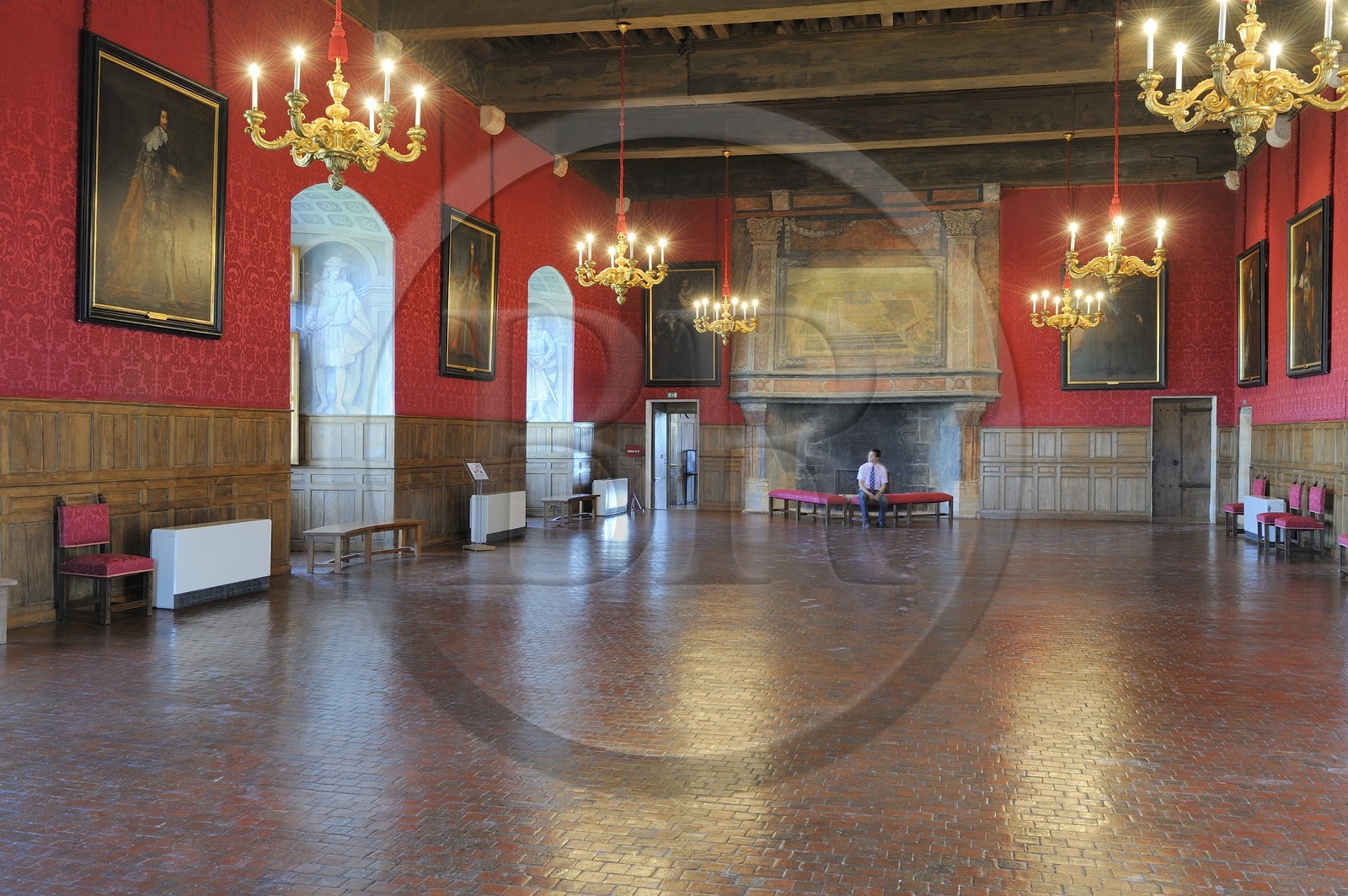 France, Loiret (45), Vallée de la Loire classée Patrimoine Mondial de l' UNESCO, Sully-sur-Loire, la salle d'honneur, mention obligatoire : Châteaux de Sully-sur-Loire, propriété du département du Loiret