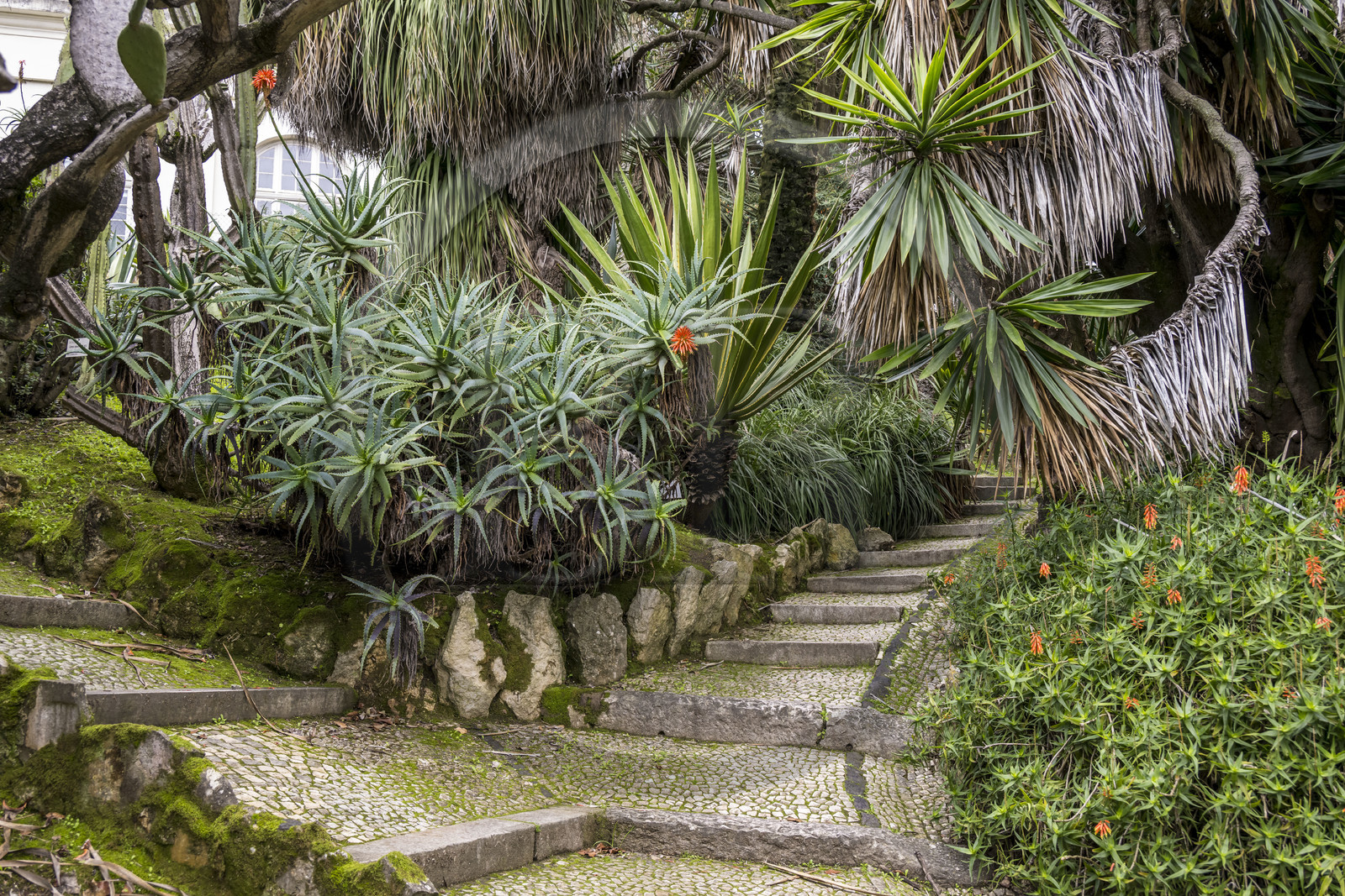 Portugal, Lisbon, Lisbon Botanical Garden