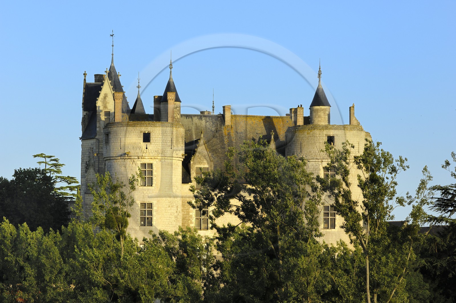 France, Maine et Loire (49), château de Montreuil-Bellay