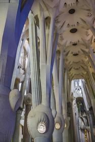 Espagne, Catalogne, Barcelone, quartier de l'Eixample, basilique de la Sagrada Familia de l'architecte du modernisme catalan Antoni Gaudi classée Patrimoine Mondial de l'UNESCO, au dessus du noeud, les colonnes du vaisseau central (nef) se subdivisent en branches tel un arbre