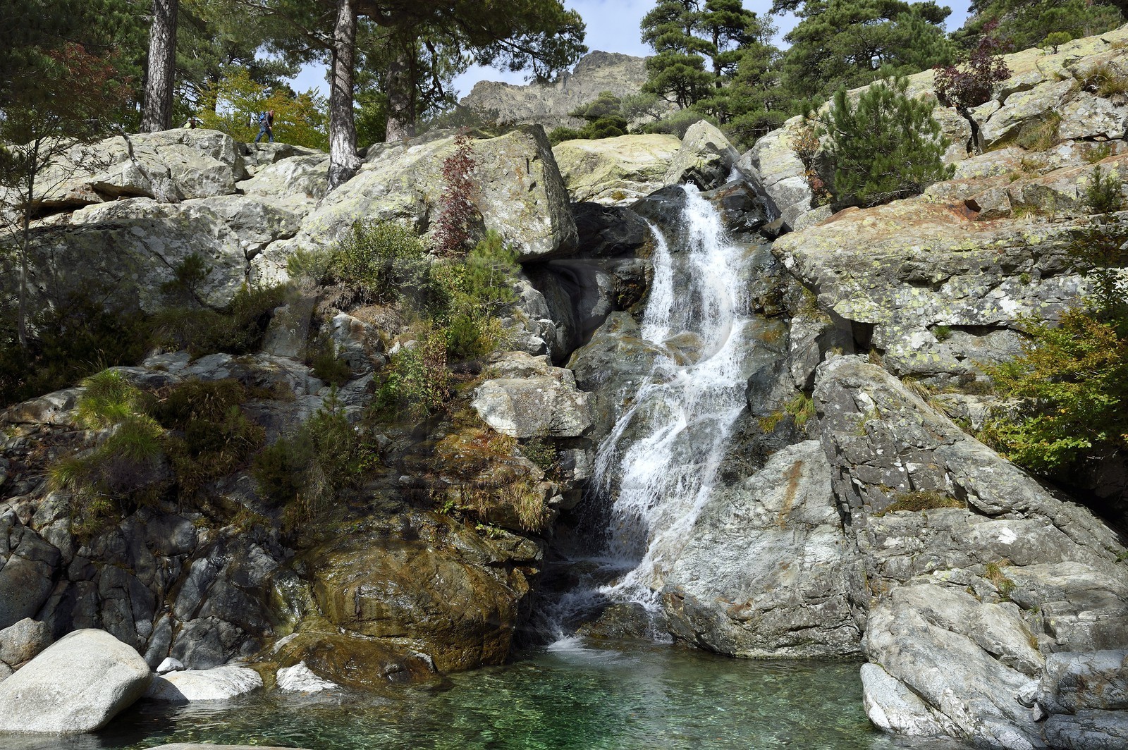 France, Haute-Corse (2B), Vivario, GR 20, étape entre le refuge de l'Onda et Vizzavona, foret de Vizzavona, les cascades des anglais, groupe de cascades dans la vallée de l'Agnone au pied du Monte d'Oro