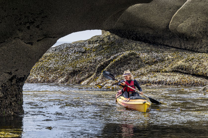 France, Finistère, Penmarch, Étocs archipelago, kayak trip from the Guilvinec Nautical Center to discover the gray seal (halichoerus grypus) in the rocks at low tide