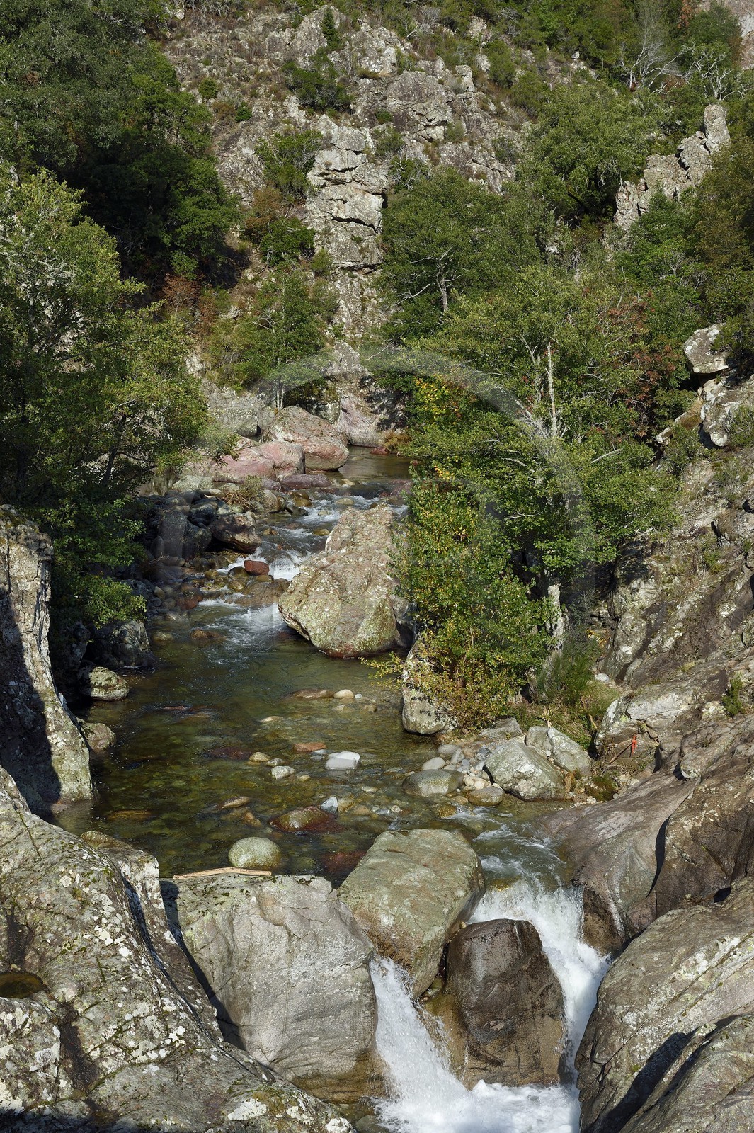 France, Corse-du-Sud (2A), Vallée du Prunelli, gorges du Prunelli