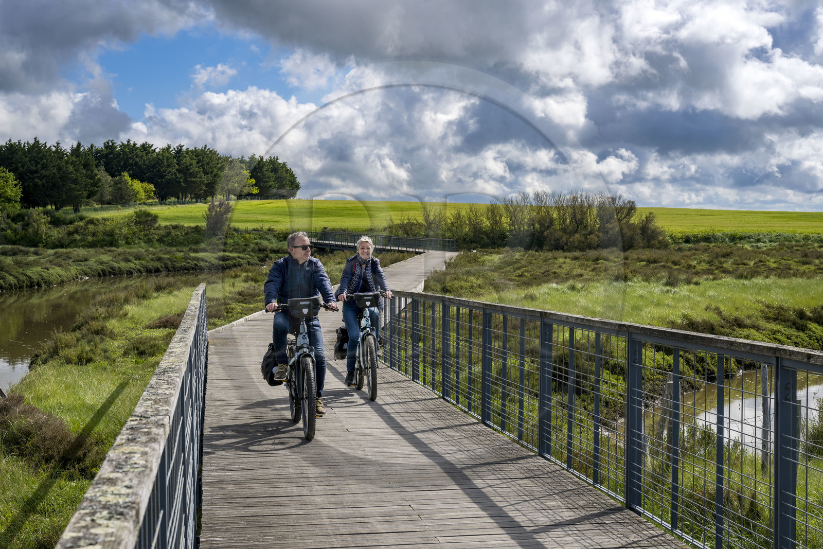 France, Vendée (85), Talmont-Saint-Hilaire, marais de la Guittière dans l'arrière pays de la Pointe du Payré, cycliste sur la piste de la véloroute Vendée Vélo Tour et Vélodyssée au passage du Cul d’Ane, marais aménagés pour la pisciculture de dorades, mulets et anguilles