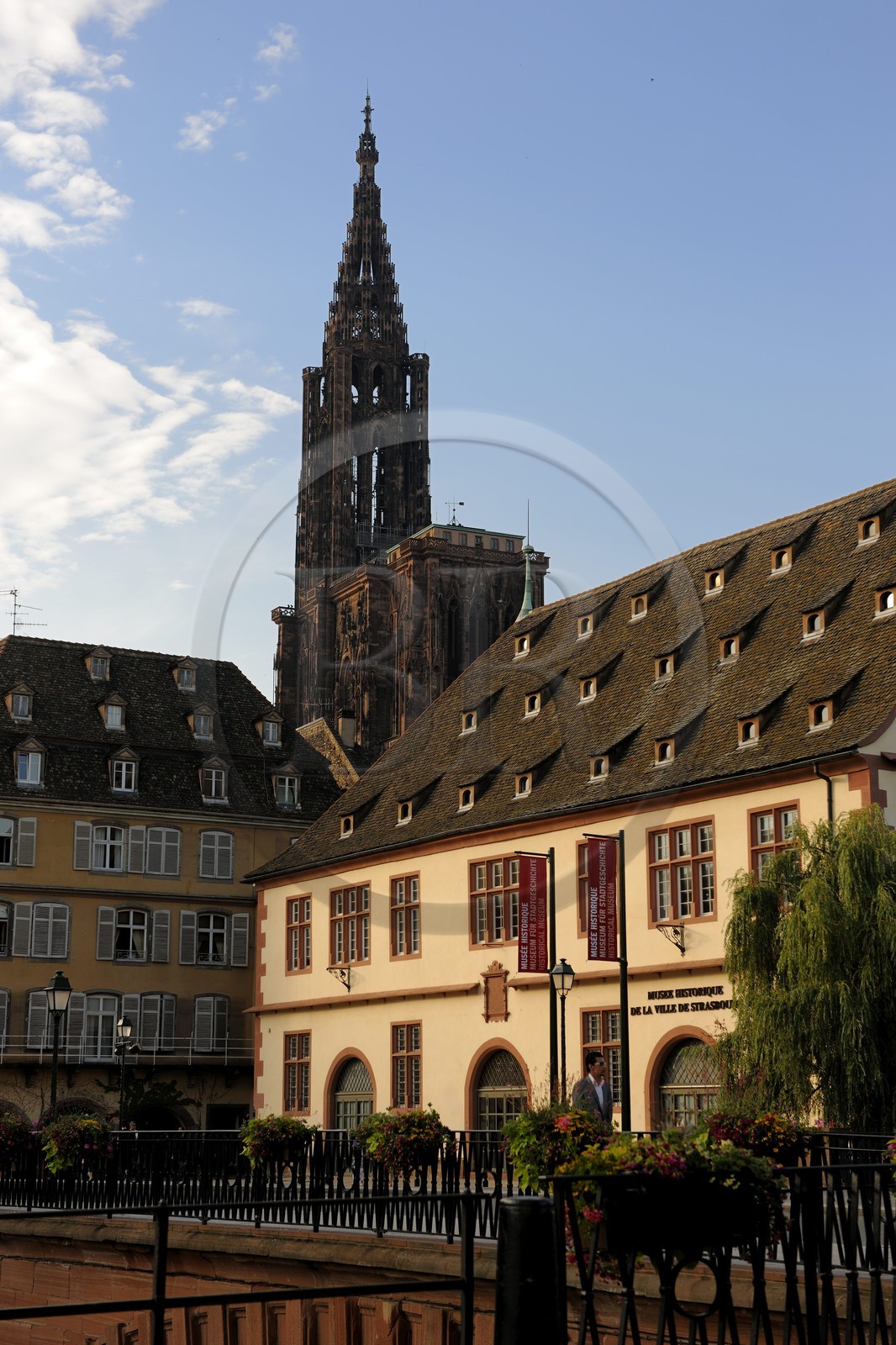 France, Bas-Rhin (67), Strasbourg, la cathédrale Notre-Dame derrière le musée Historique