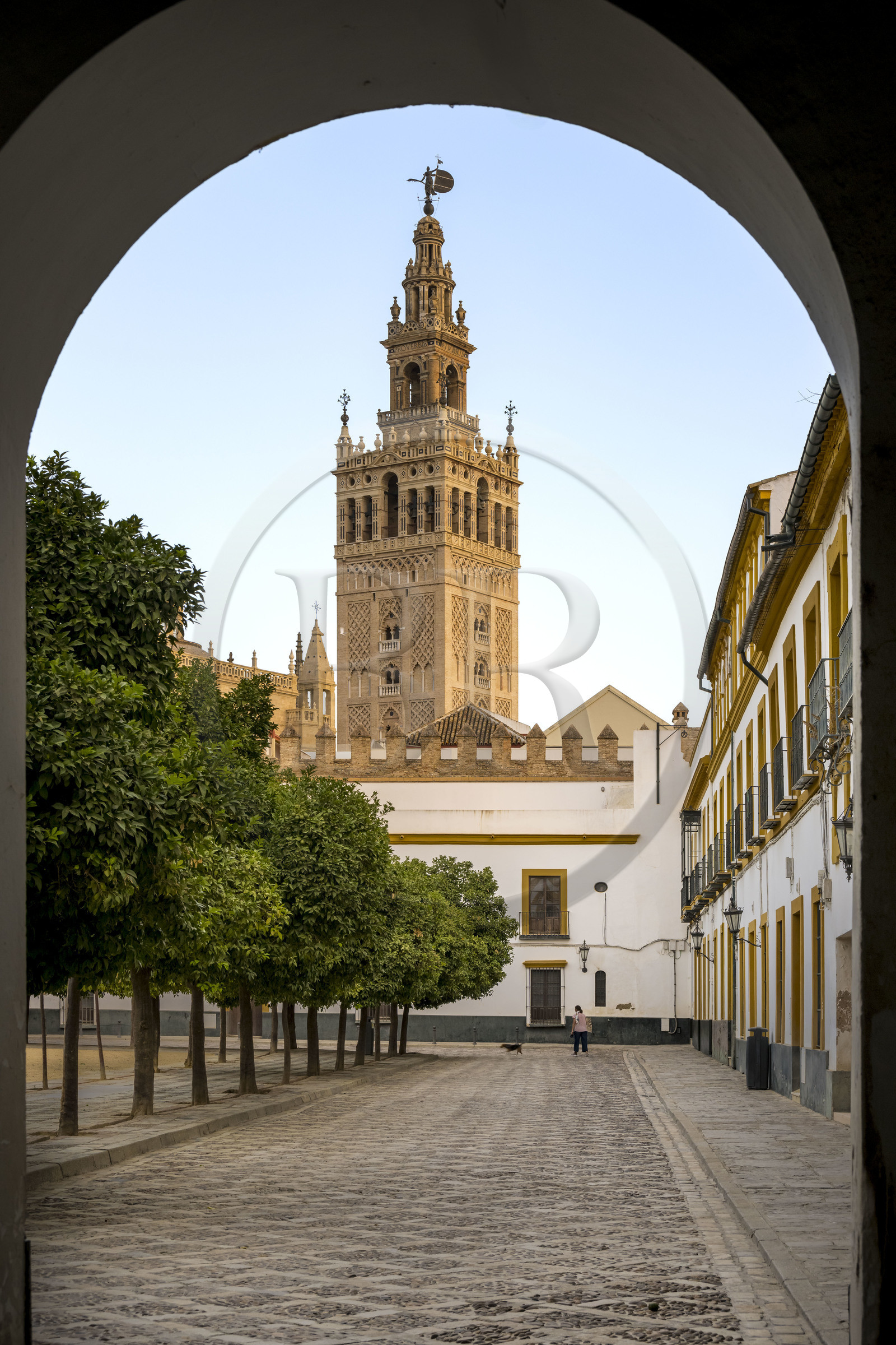 Espagne, Andalousie, Séville, quartier de Santa Cruz, la Giralda, ancien minaret almohade de la Grande Mosquée reconverti en clocher de la cathédrale, classé Patrimoine Mondial de l'UNESCO, depuis la Plaza del Patio de Banderas devant l'Alcazar