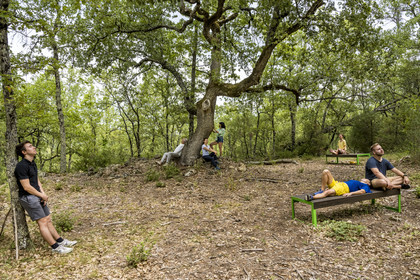France, Var, Provence Verte (Green Provence), Bras, Academie du Bain de Foret Provencale (Academy of Forest Bathing in Provence), forest of the domaine Le Peyrourier - une campagne en Provence, Constanze Coisne guides Shinrin Yoku