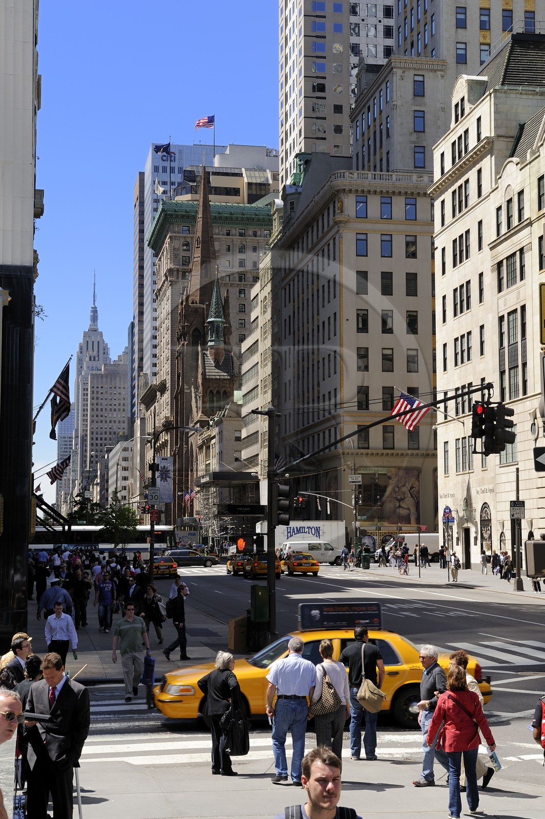 Etats-Unis, New York, Manhattan, la 5ème Avenue