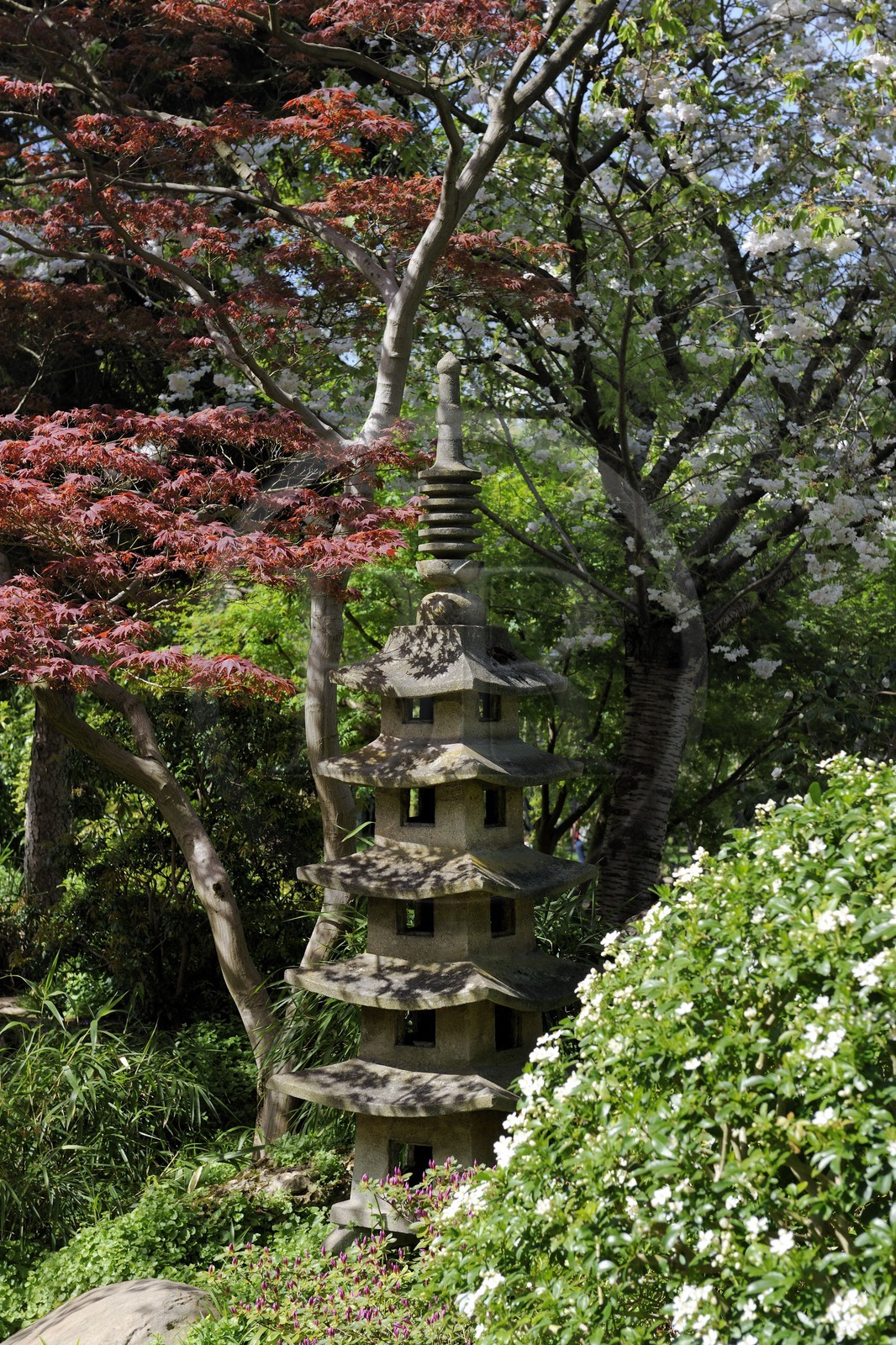 France, Hauts-de-Seine (92), Boulogne-Billancourt, le jardin japonais du musée départemental Albert-Kahn
