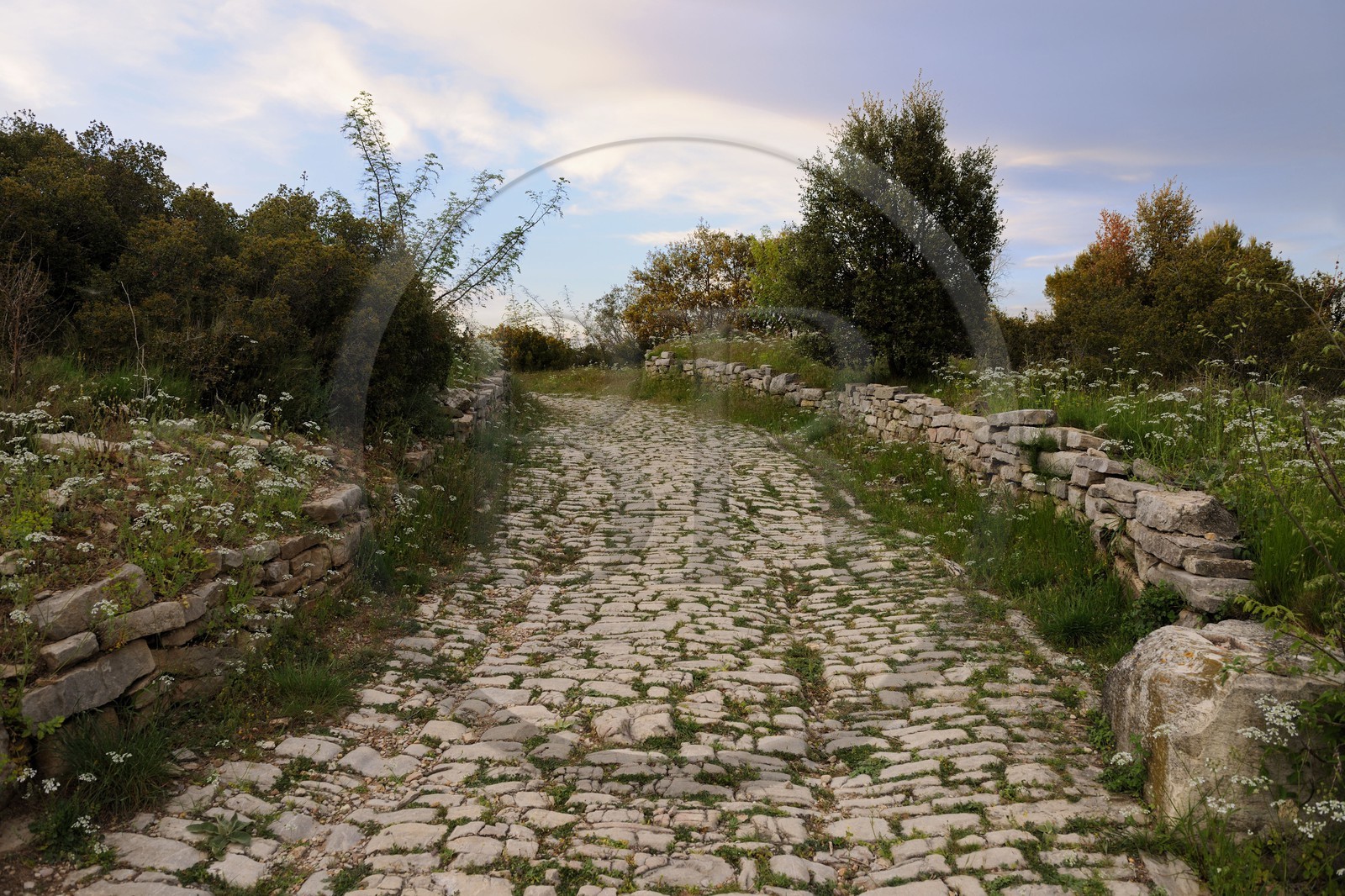 France, Hérault (34), près de Lunel, Oppidum d'Ambrussum ancien oppidum gaulois situé sur la Voie Domitienne (Via Domitia), rue pavée usées par le passage des chariots