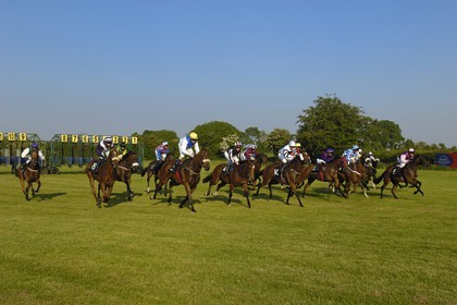 Irlande, Co. Meath, hippodrome de Fairyhouse, départ de la course