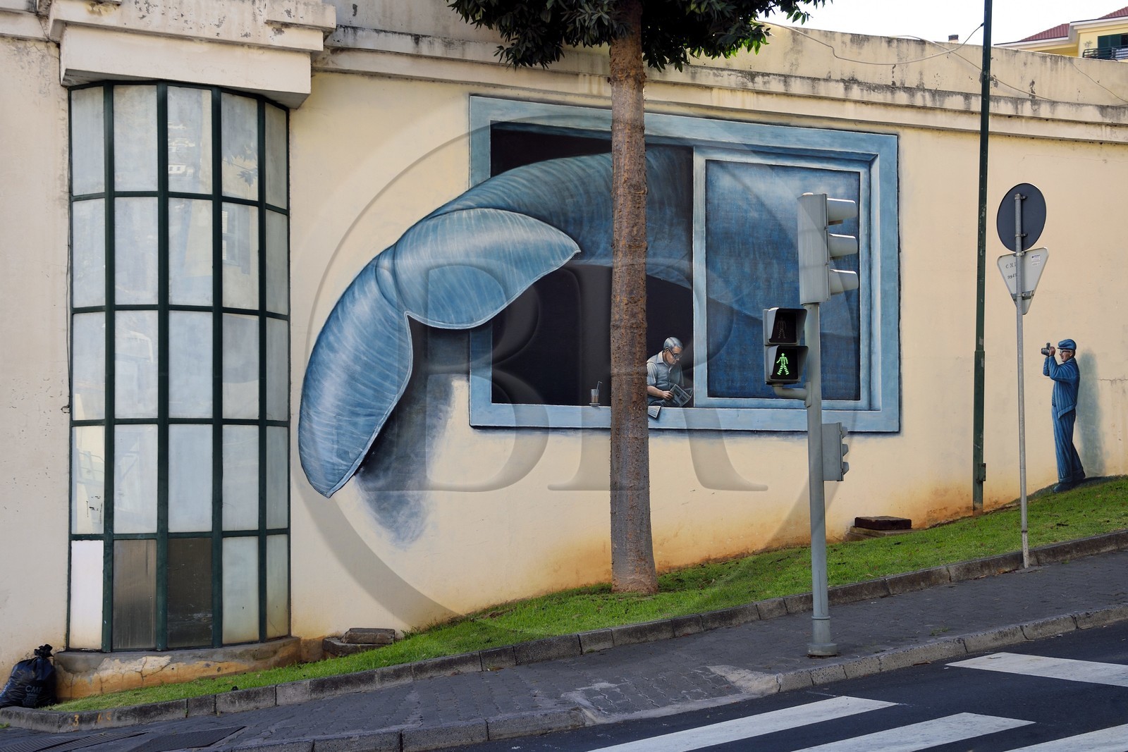Portugal, Madeira Island, Funchal, street art The tail of the whale by Marcos Milewski